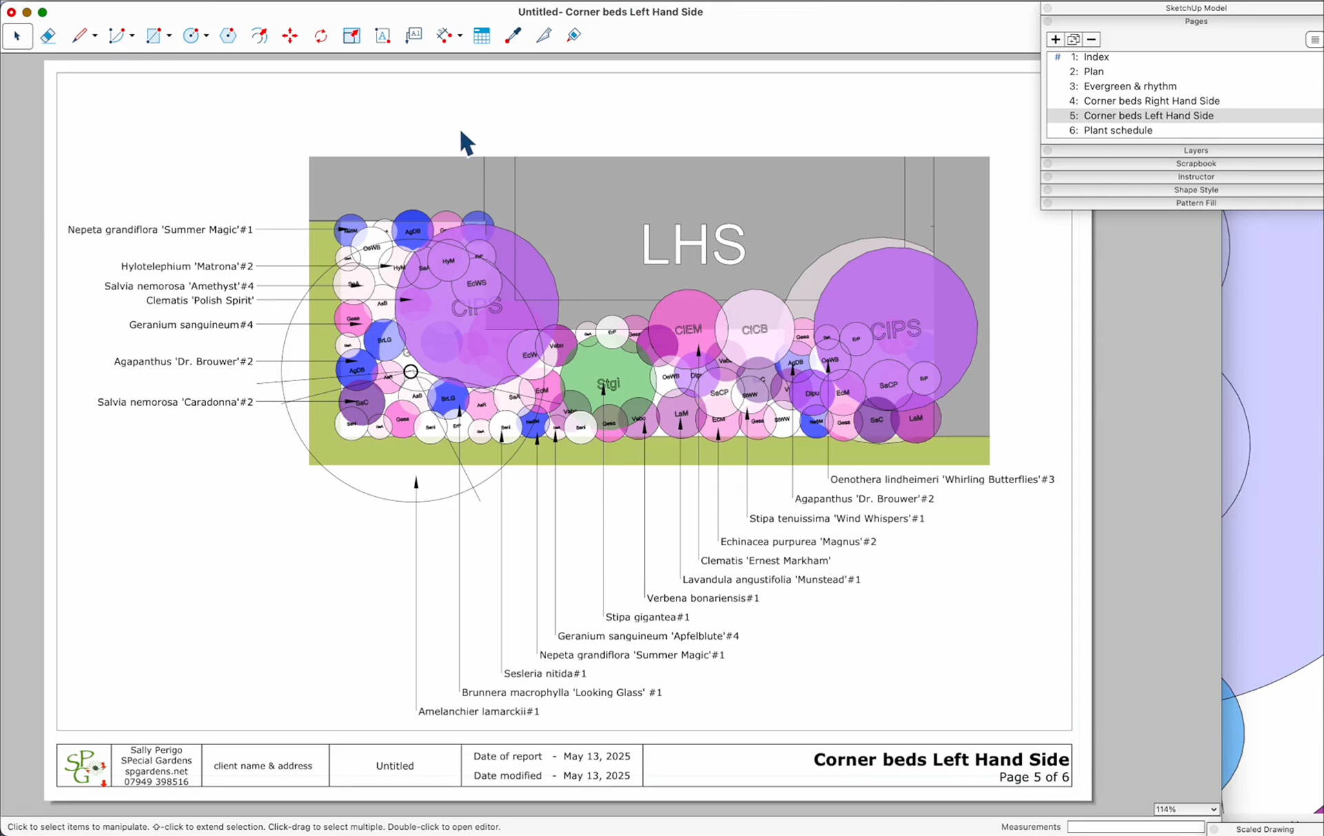 Een gedetailleerd beplantingsplan in SketchUp LayOut, gegenereerd met de Shoot Plant Planner. De tekening toont een plantvak ('Corner beds LHS') met duidelijke labels en verwijspijlen naar specifieke soorten zoals 'Salvia nemorosa' en 'Nepeta grandiflora'.