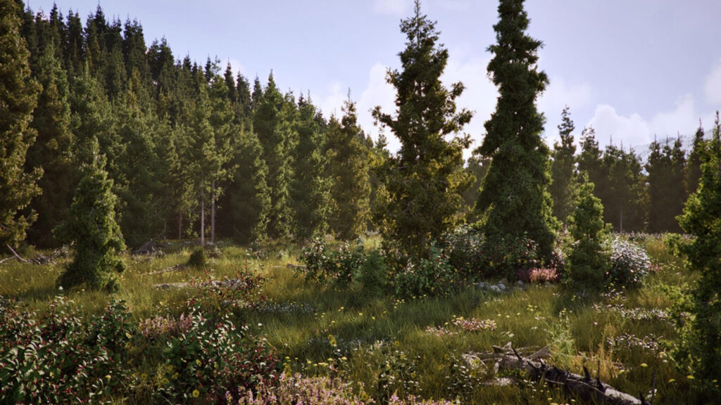 Een uiterst gedetailleerde 3D-landschapsrender gegenereerd met Twinmotion 2026.1, ter demonstratie van het nieuwe 'European Tree Pack'. Het beeld toont een weelderig, dicht dennenbos met een rijke ondergroei van veldbloemen, grassen en struiken, badend in zacht, natuurlijk zonlicht.
