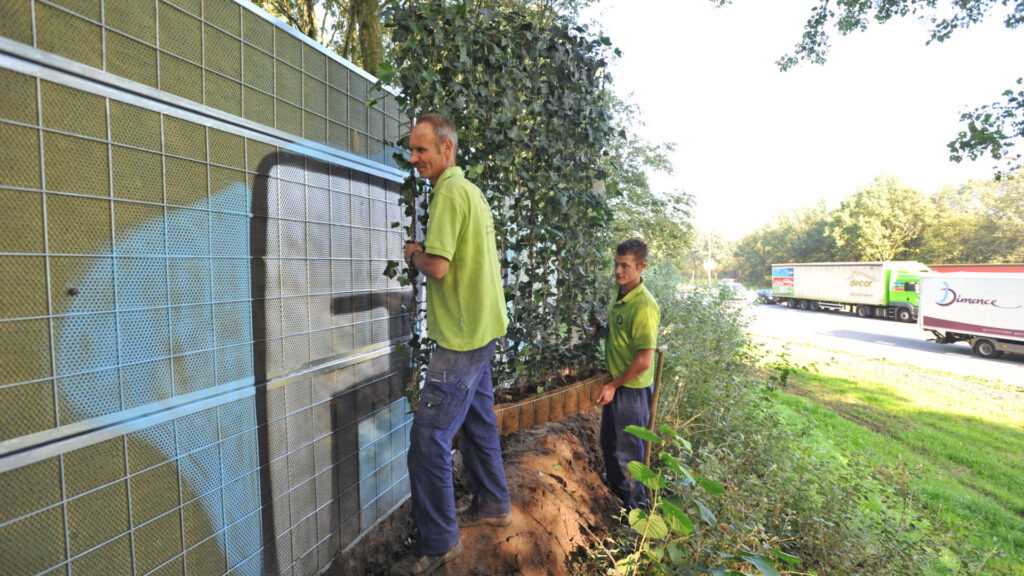 Installation of green hedge trellises on a project in Zwolle