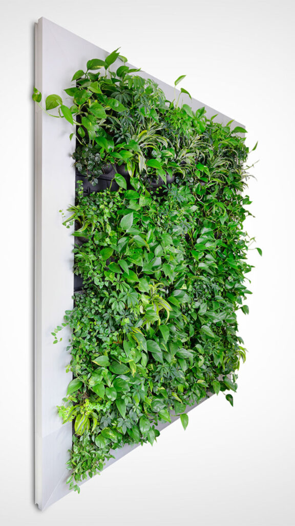 Product photo of a Mobilane LivePanel